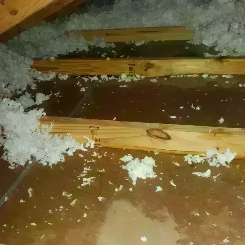 Attic Water Damage in Mercerville, NJ