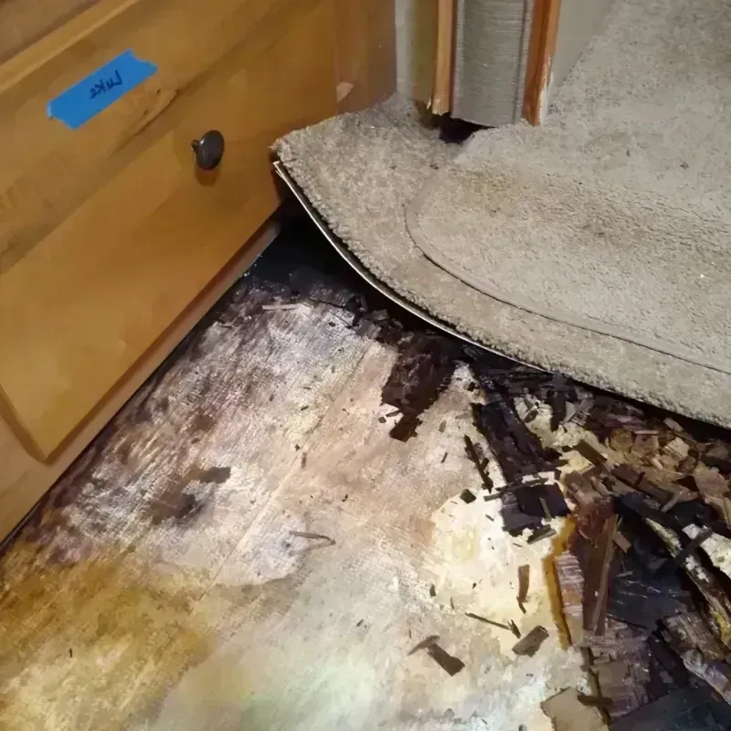 Wood Floor Water Damage in Mercerville, NJ